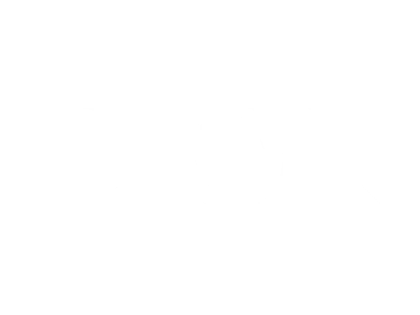 Dion for Brides - Logo White (600x450) - Actual